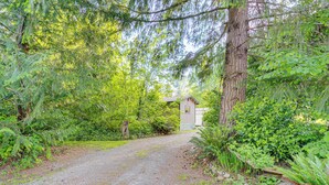 A gravel path leading to a small building surrounded by dense greenery and trees. - Pet-friendly Quaint Cottage: Park-like Setting (Monroe)