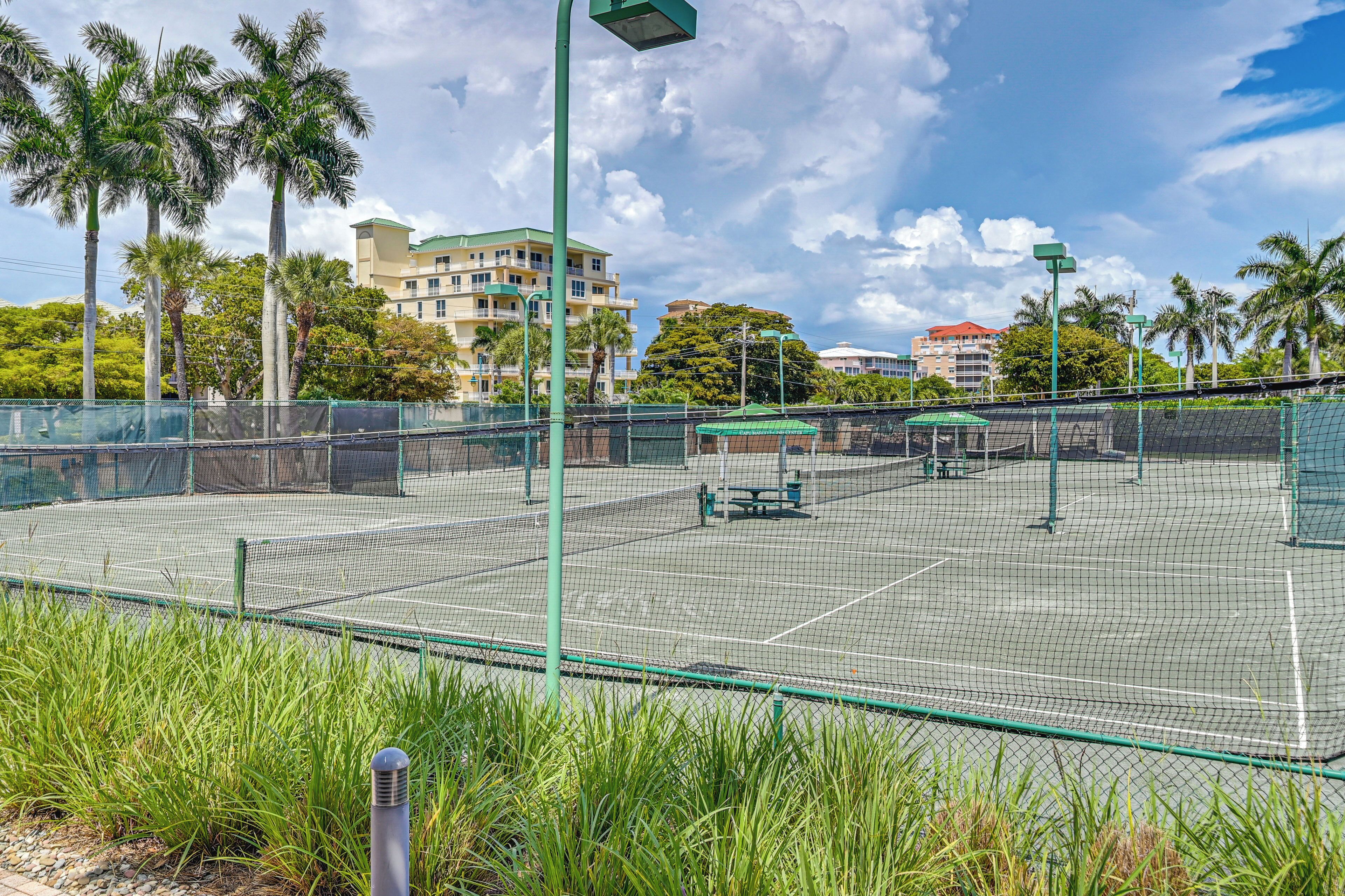 An outdoor tennis court with a green fence, benches, and palm trees in the background.