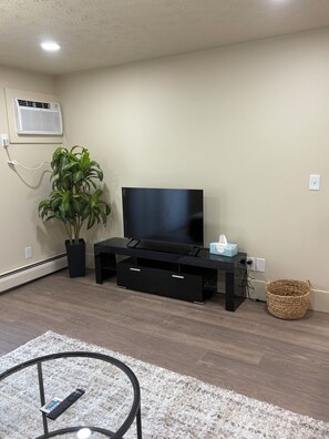 A living room with a flat-screen TV on a black stand, a potted plant, a woven basket, and a remote control on a glass coffee table.
