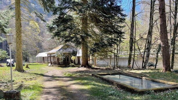 A rustic cabin with a dirt path leading to it, surrounded by trees and a small pond. - Landsitz Kammerburg - Landhaus mit Kegelbahn (Lorch)