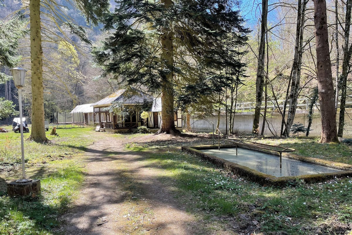 A rustic cabin with a dirt path leading to it, surrounded by trees and a small pond.