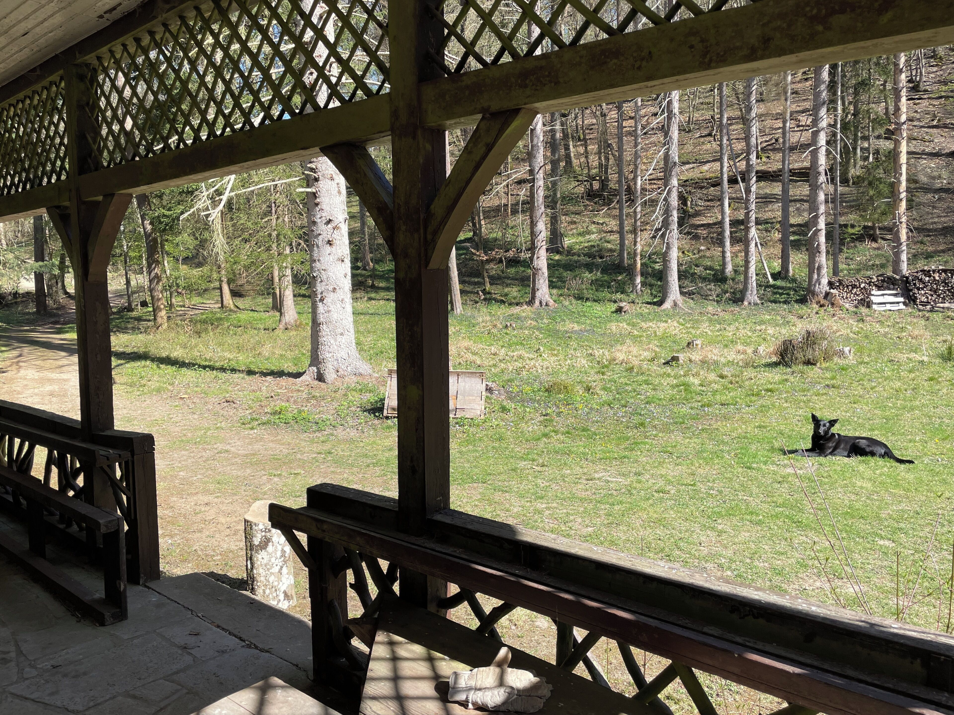 House | Property grounds