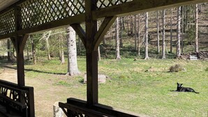 A wooden pavilion with a lattice roof overlooking a grassy area with trees. - Landsitz Kammerburg - Landhaus mit Kegelbahn (Lorch)