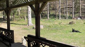 House | Property grounds
