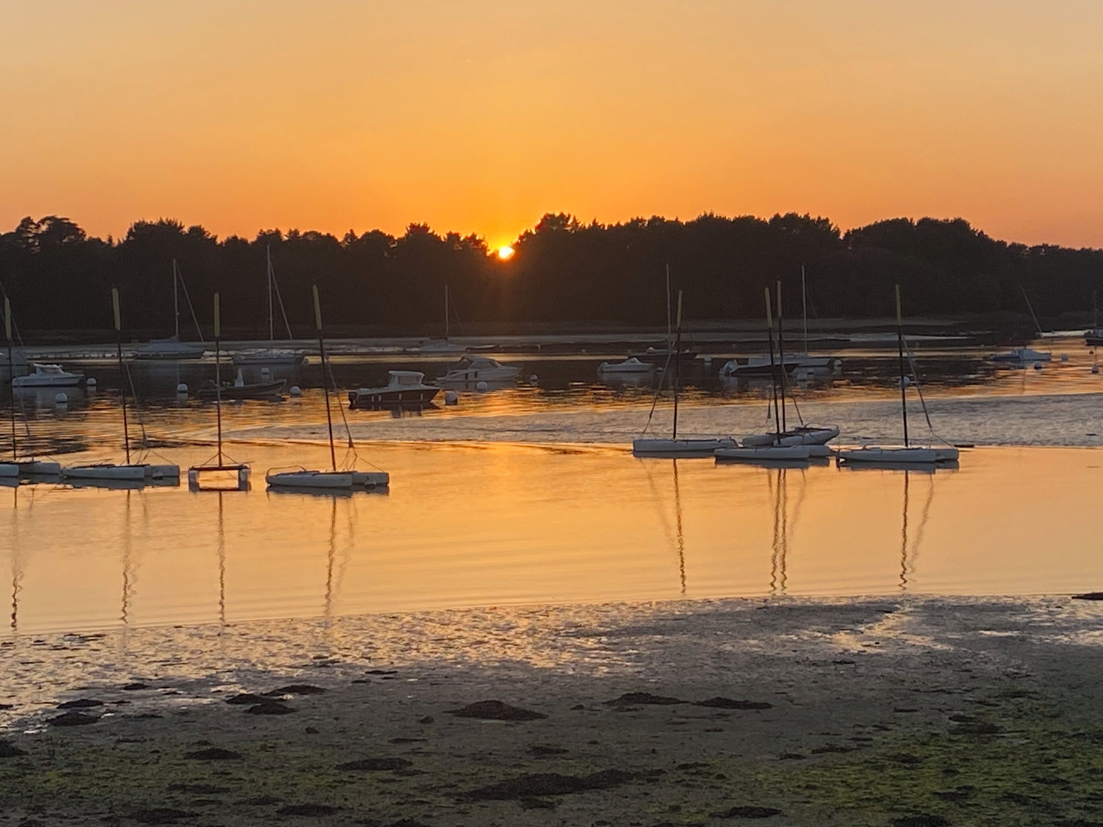 A marina with boats docked at low tide, calm water, and a sunset in the background.