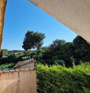 Une vue d’un jardin avec un arbre et un bâtiment.