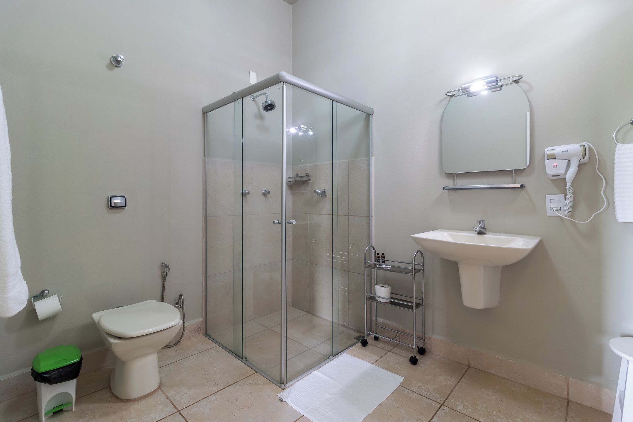 A bathroom with a glass-enclosed shower, a toilet, a sink, a mirror, and a towel rack.