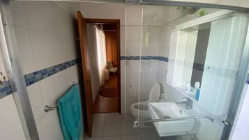 A bathroom with a glass shower enclosure, a toilet, a sink, and a mirror.