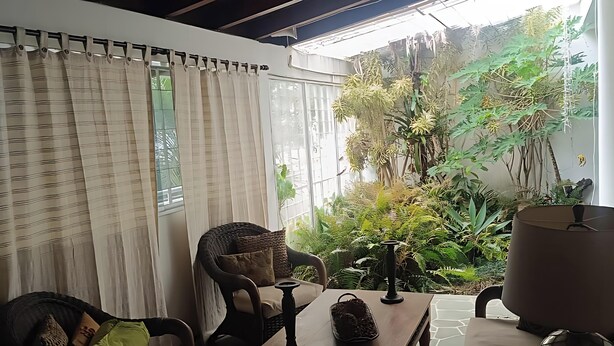 Ein Zimmer mit Blick auf einen üppigen Garten, eine Couch, ein Tisch und eine Lampe.