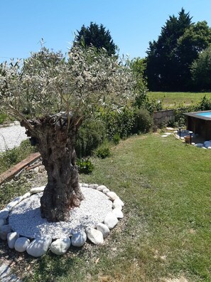 Property grounds - Vrbo Property (Saint-Martin-de-Goyne)