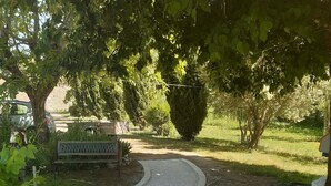 Ein Kiesweg mit Ziegelrand, umgeben von Grün und einer Bank.