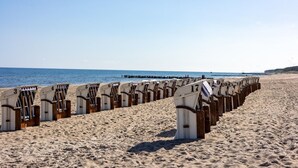 A beach with rows of numbered beach chairs and umbrellas. - Maris | Shellter Rogowo | Balkon z widokiem na las | Blisko plaży (Rogowo)