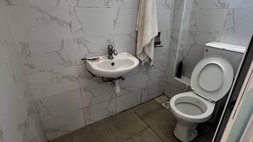 Shower, towels, soap, toilet paper