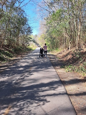 A paved road flanked by trees, a stroller, and a person walking.
