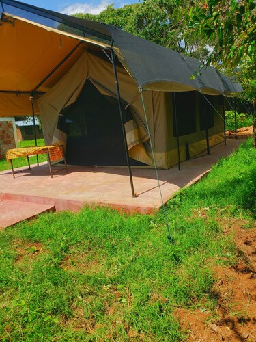 Safari your way kenya 