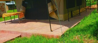 Safari your way kenya 