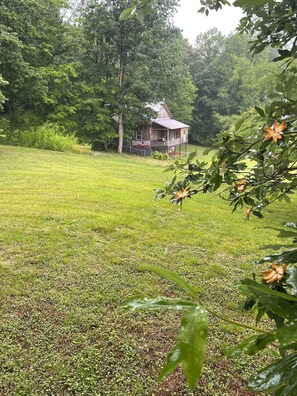 Eine rustikale Holzhütte mit Veranda, umgeben von üppiger Vegetation und einer grünen Wiese.