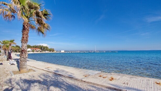 Un paseo marítimo con una palmera, cielo azul despejado y mar tranquilo.