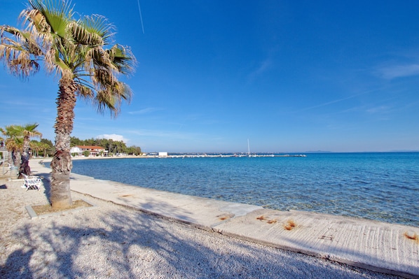 Eine Küstenpromenade mit einer Palme, blauem Himmel und ruhiger See.
