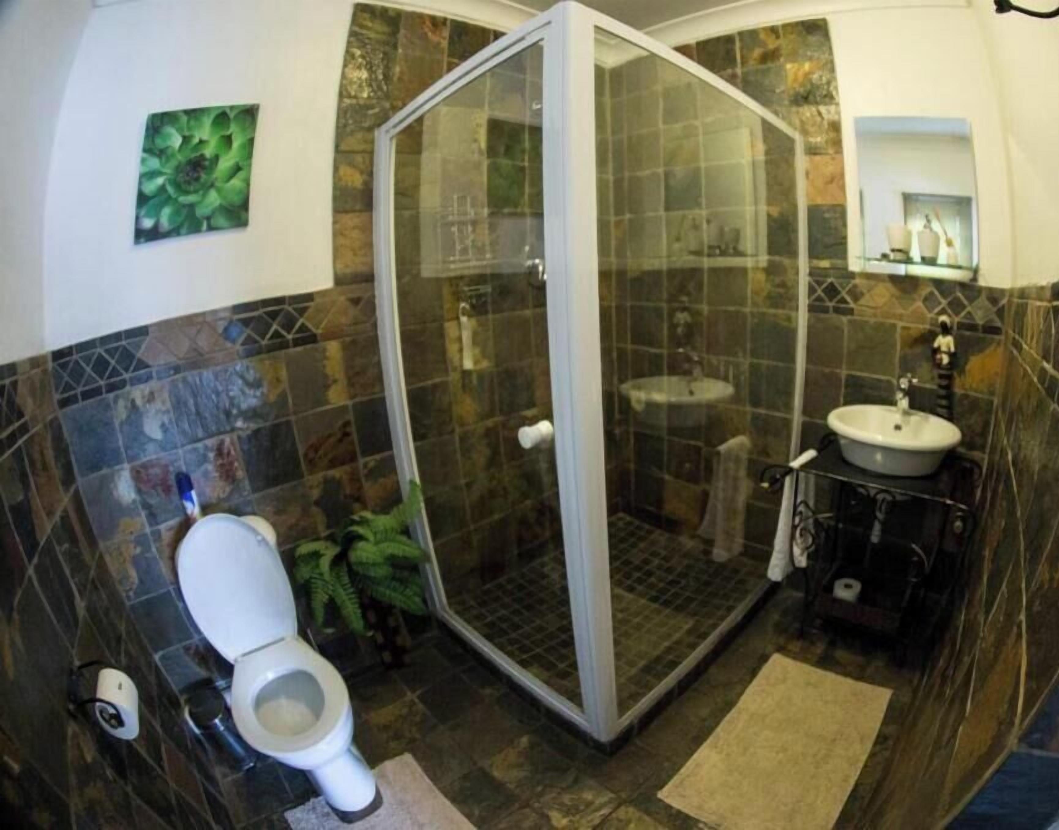 A bathroom with a shower enclosure, toilet, sink, and a green plant.
