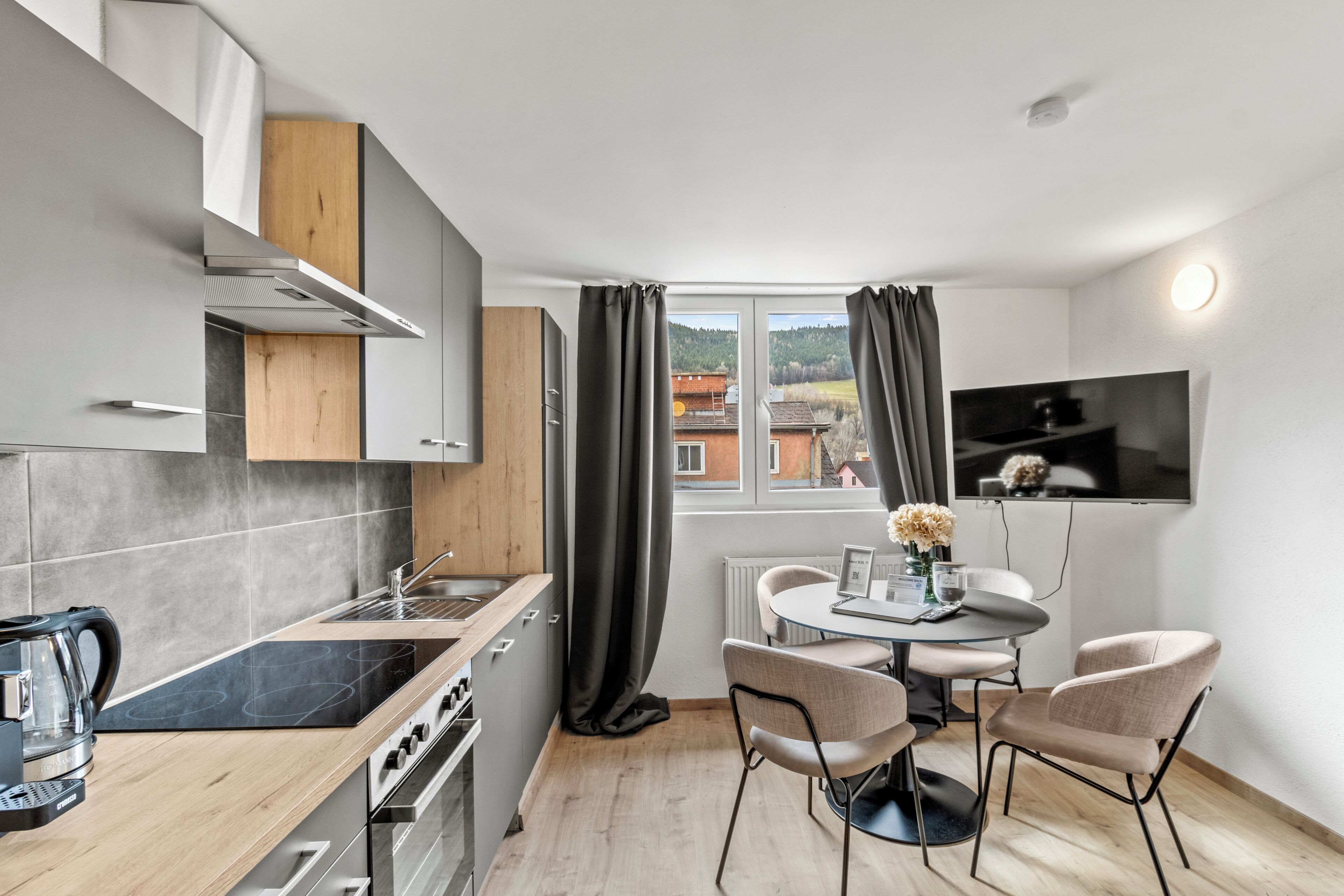 Comfort Apartment, 1 Queen Bed with Sofa bed | Private kitchen