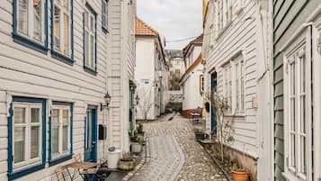 Udendørsområde