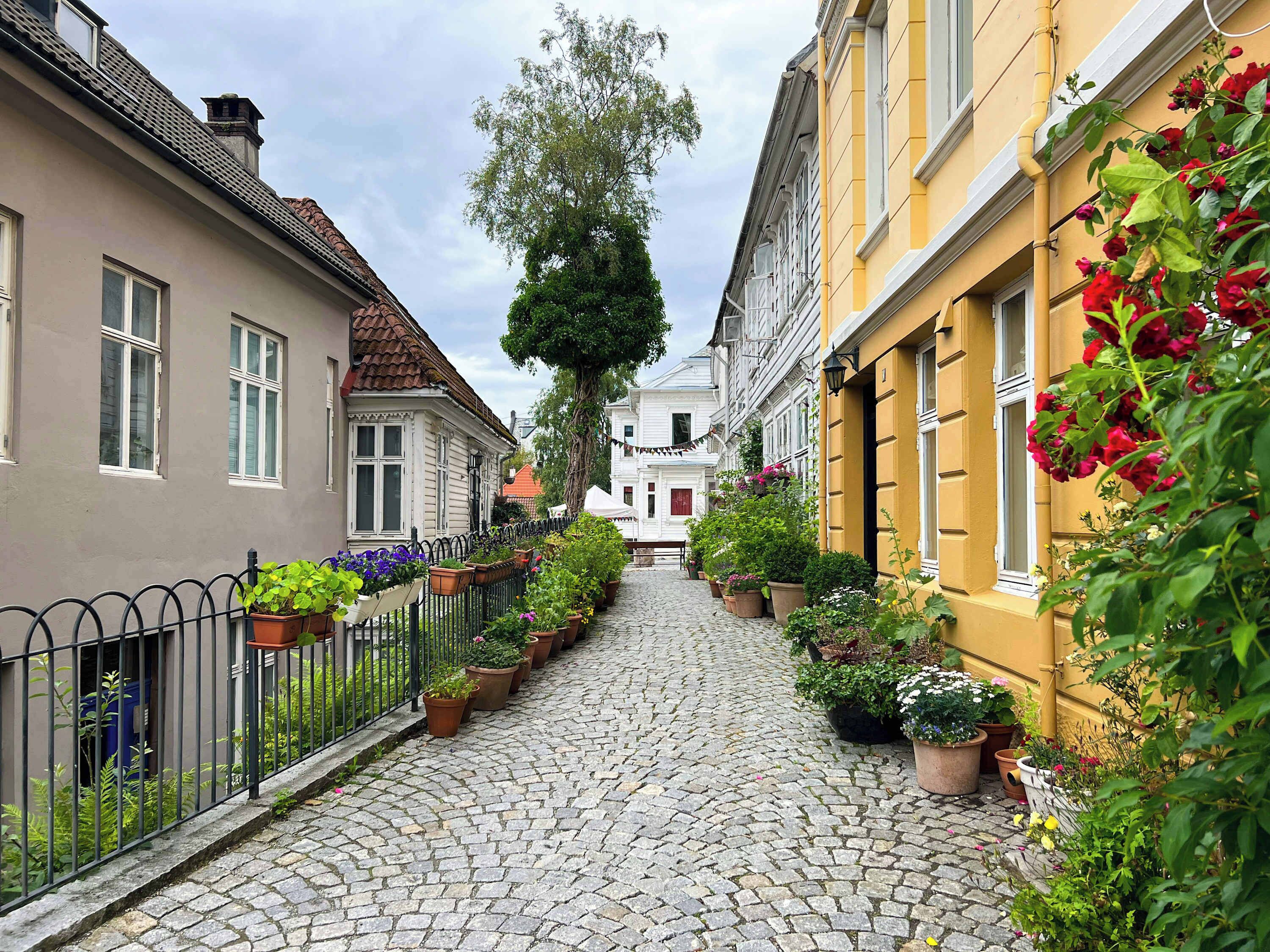 Overnattingsstedets uteområder
