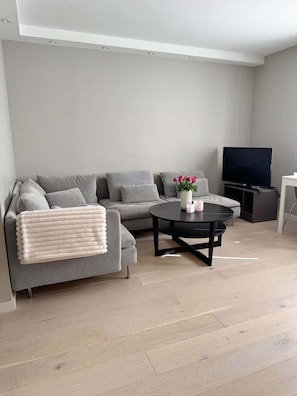 Uma sala de estar moderna com um sofá cinza, uma mesa de centro preta e uma televisão de tela plana.