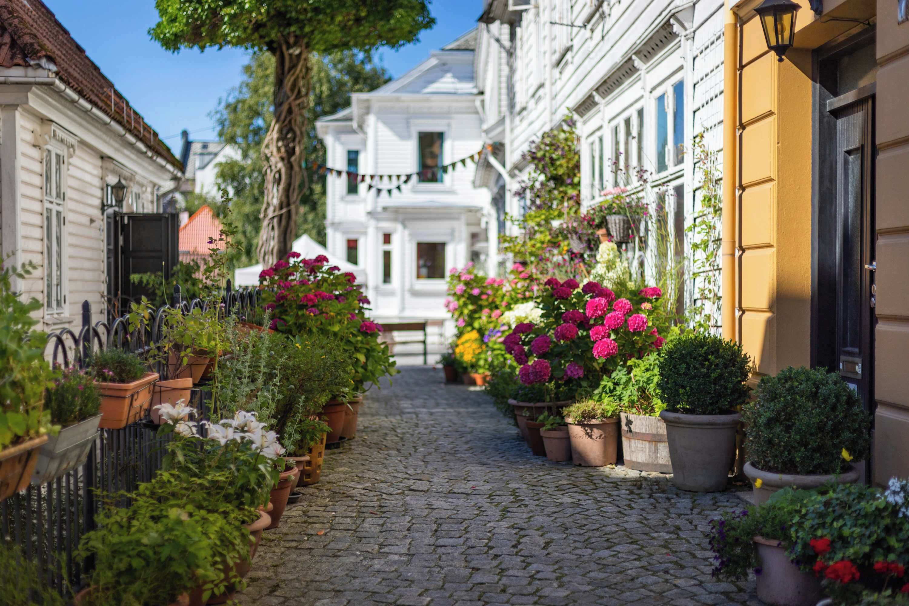 Overnattingsstedets uteområder