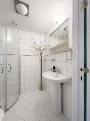Ein modernes Badezimmer mit Duschkabine aus Glas, einem Standwaschbecken und einem Spiegel darüber.