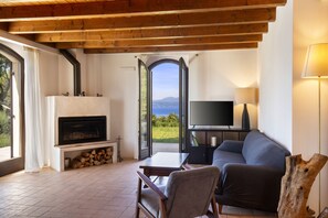 A living room with a fireplace, a sofa, a TV, and a view of the outdoors. - Apartment Agave with Lake View (Bardolino)