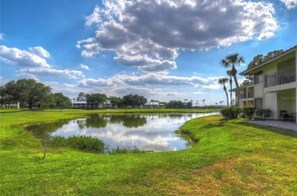A grassy area with a pond, a building with balconies, and palm trees.