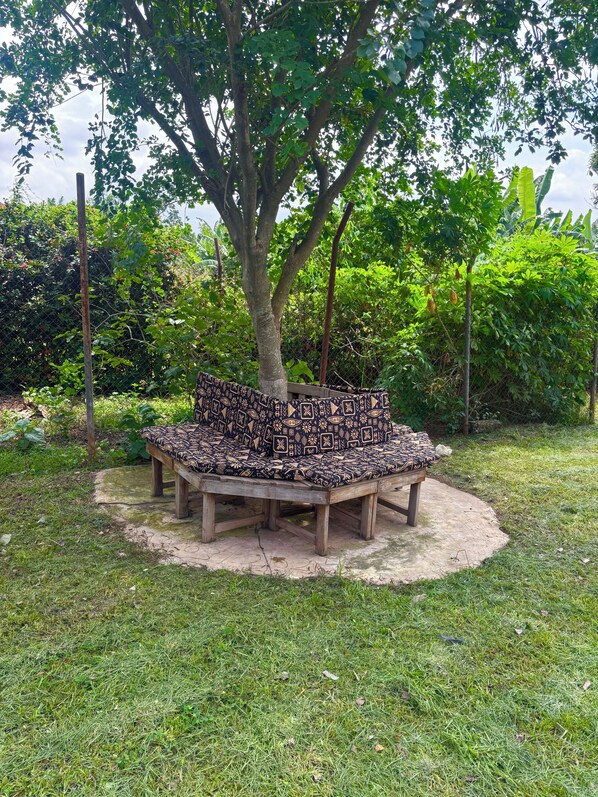 Un banco de madera con un cojín estampado en una zona cubierta de césped, rodeada de árboles y follaje.