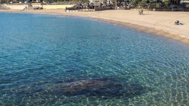 Una platja amb aigua cristal·lina, sorra daurada i poques persones.
