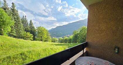 South-facing mountain apartment: summer/winter ideal for biking, climbing, hiking and skiing