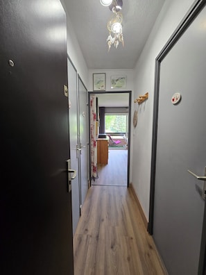 Un pasillo con piso de madera, una lámpara en el techo y una puerta a la izquierda.