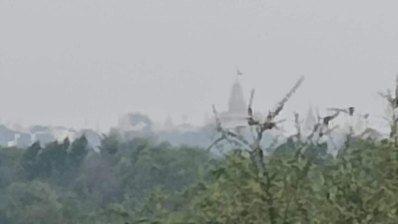 A view of a cityscape with buildings and trees.