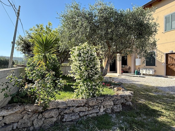 A stone wall, a small tree, and a building with a door and windows. - Once upon a time (Capaccio Paestum)