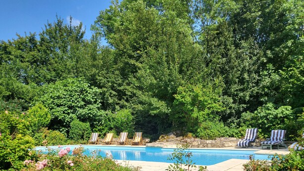 Une piscine entourée d’une végétation luxuriante et de chaises longues.