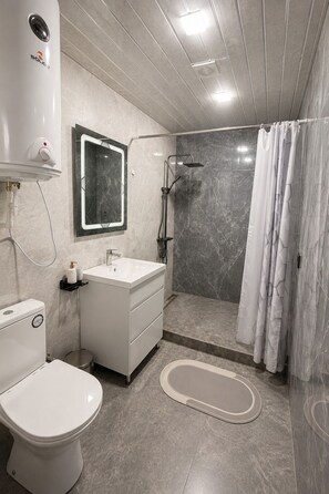 A modern bathroom with a toilet, sink, shower, and a mirror. - Luxury Unique Retreat in Armenia (Vanadzor)