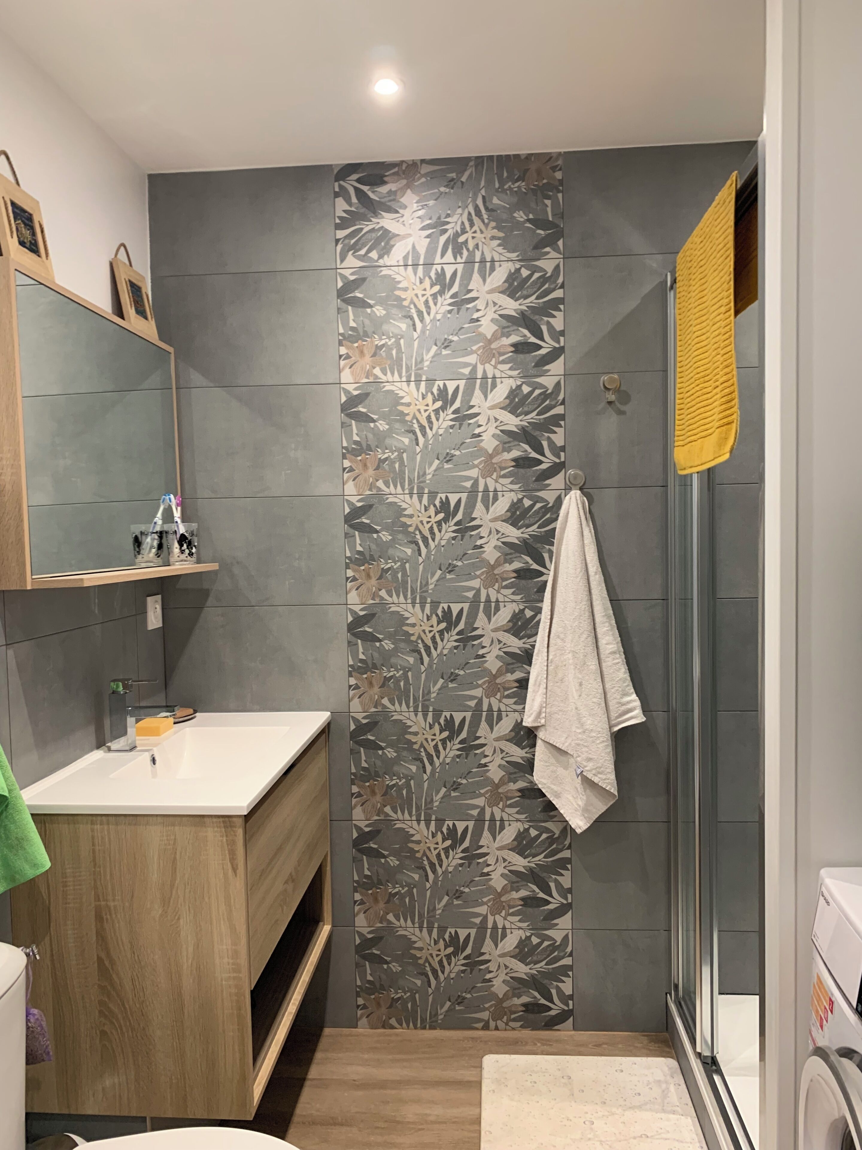 Shower, hair dryer