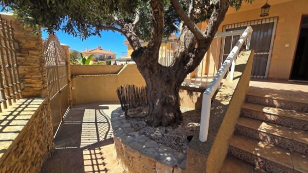 Una escalera conduce a un edificio, con un árbol en el centro.