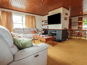 Fernseher