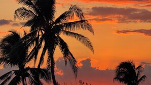 Een zonsondergang met silhouetten van palmbomen tegen de lucht.