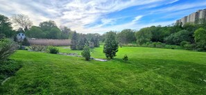 A grassy field with trees and a building in the background.