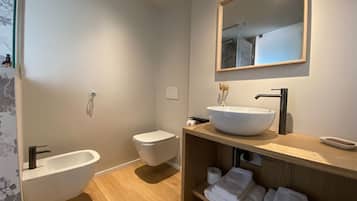 Shower, bidet, towels, toilet paper