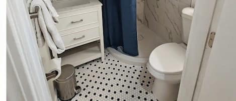 Regadera, secadora de cabello, toallas, papel de baño