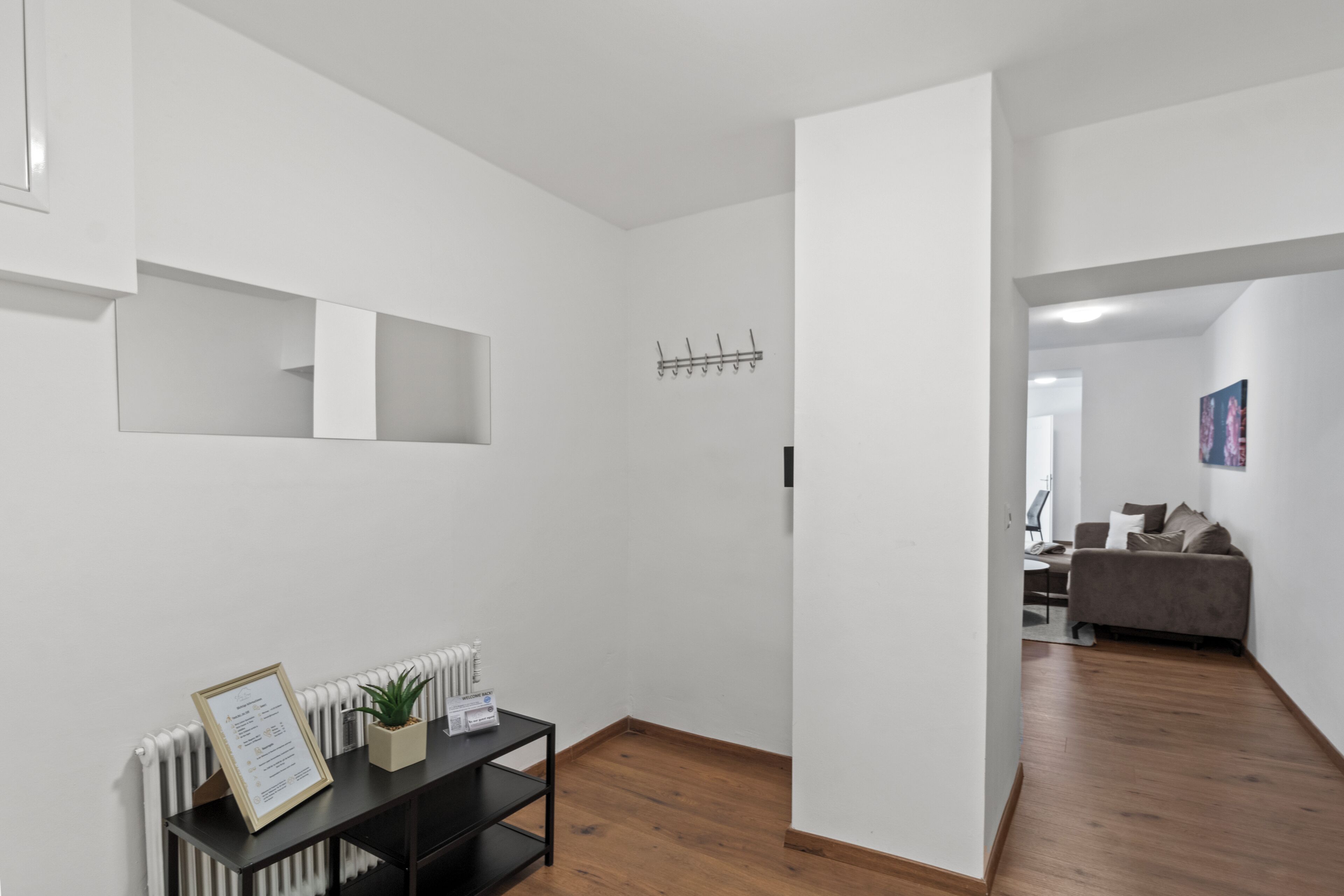 A modern interior with a black console table, a potted plant, a radiator, and a coat rack.