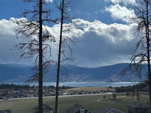 Ein Wohngebiet mit Häusern, einem Feld und Bergen im Hintergrund.