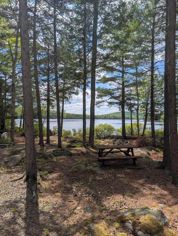 A forested area with a picnic table and a lake in the background.